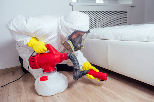 Emergency Pest Control Services in Carrizo Hill, TX